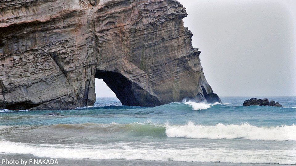 種子島・千座の岩屋・象の水飲み岩